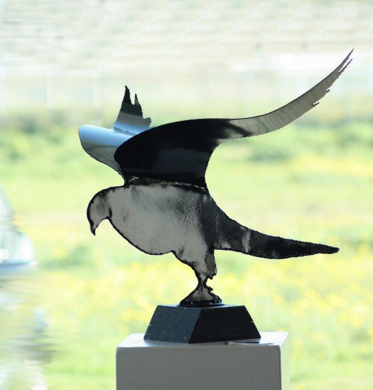 Vogel ntk.